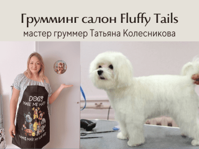 Грумминг салон Fluffy Tails - мастер груммер Татьяна Колесникова