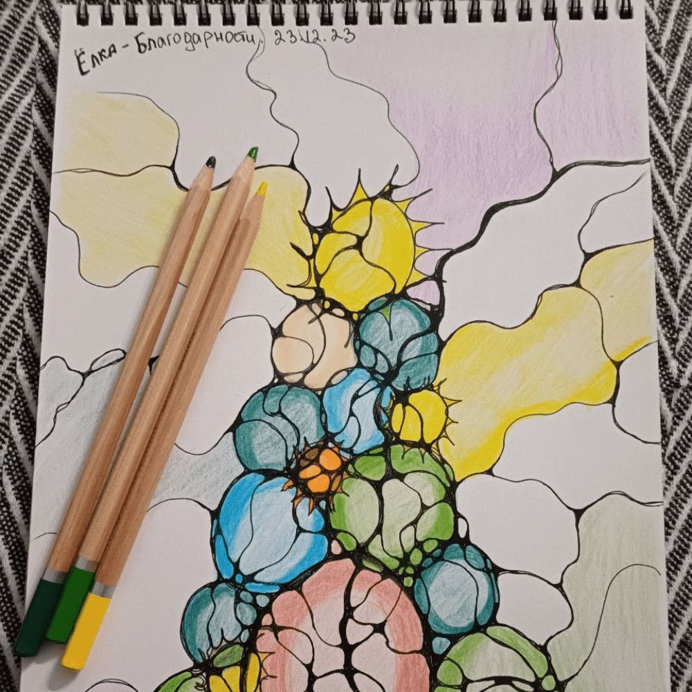 24