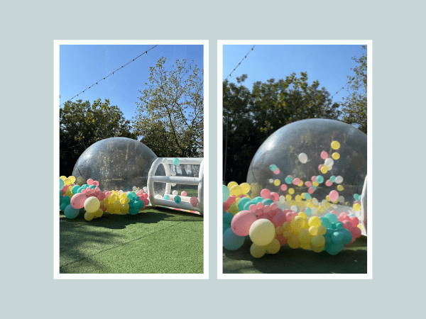 Timeless Event: Аренда Мишек-Маскотов и Bubble House для Вашего События!